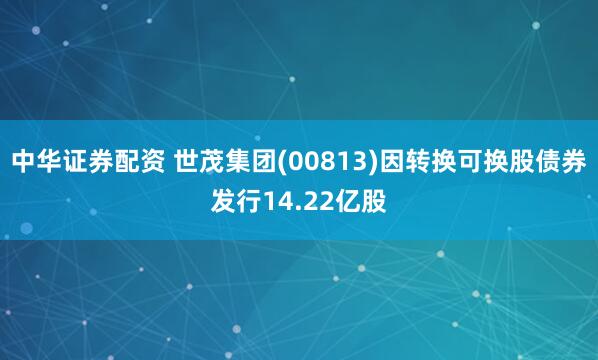 中华证券配资 世茂集团(00813)因转换可换股债券发行14.22亿股