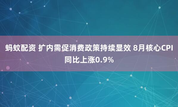蚂蚊配资 扩内需促消费政策持续显效 8月核心CPI同比上涨0.9%