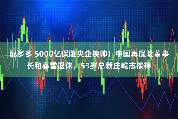 配多多 5000亿保险央企换帅！中国再保险董事长和春雷退休，53岁总裁庄乾志接棒