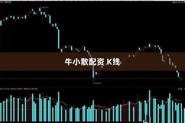 牛小散配资 K线