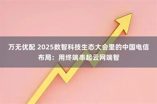 万无优配 2025数智科技生态大会里的中国电信布局：用终端串起云网端智